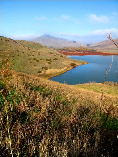 sm 091203.24  Herman.jpg - Over looking the western section of the reservoir.